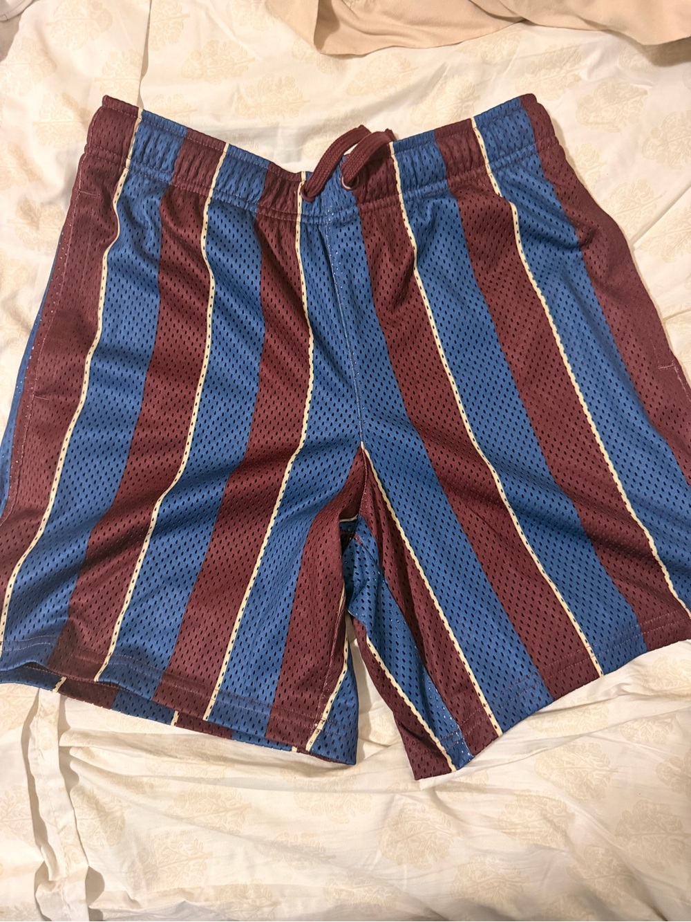 Kids DSG Blue and Burgundy Striped Athletic Mesh Shorts
